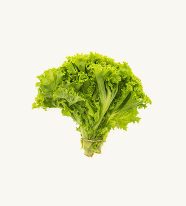 Lettuce